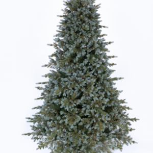 Exkluzív Norvég Luc hibrid műfenyő